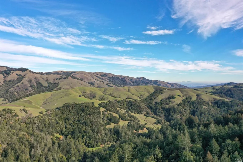 Wooded ridges above Lucas Valley in Marin County