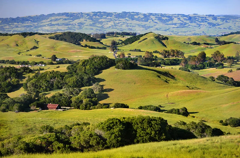 Rolling green hills west of Petaluma, seen from Wilson Hill